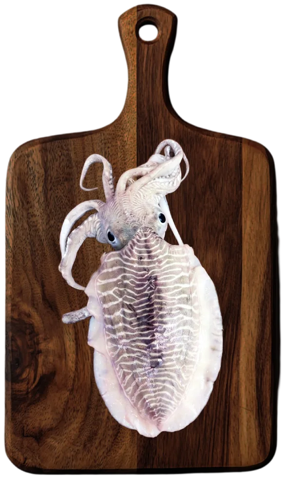 sea food exporter from india, cephalopods exporters