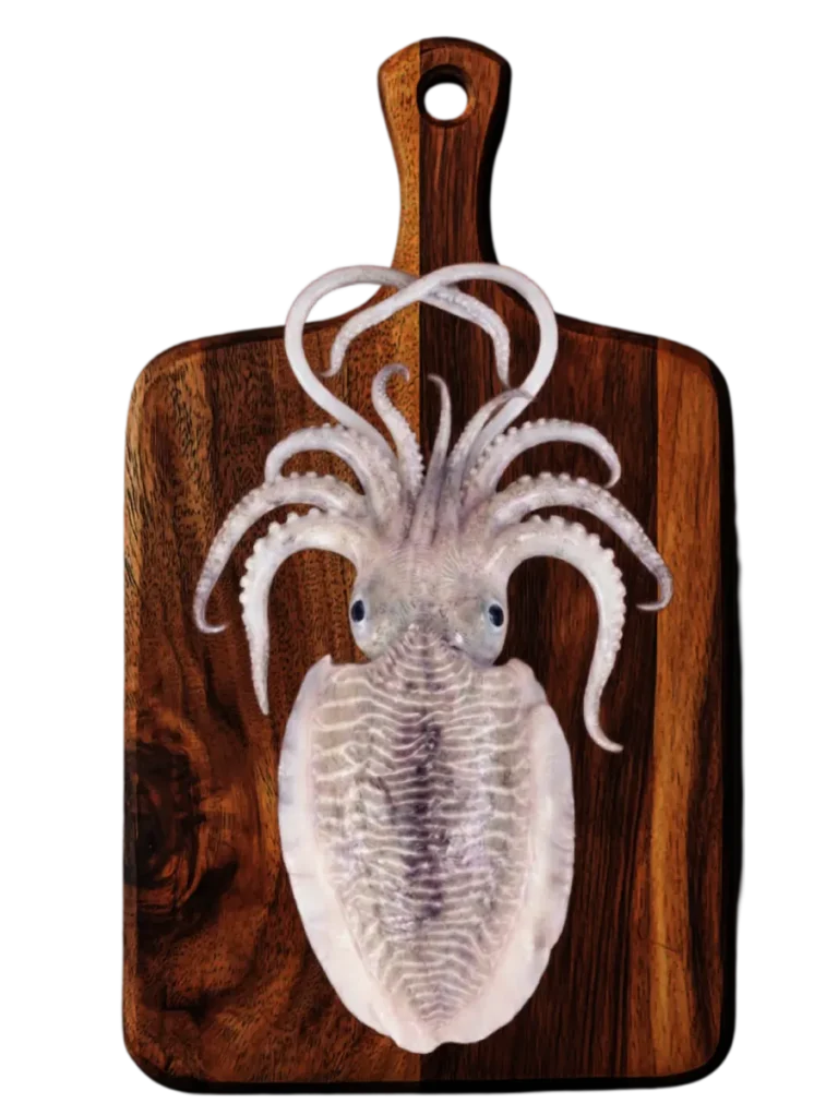 cuttle fish exporter from india
