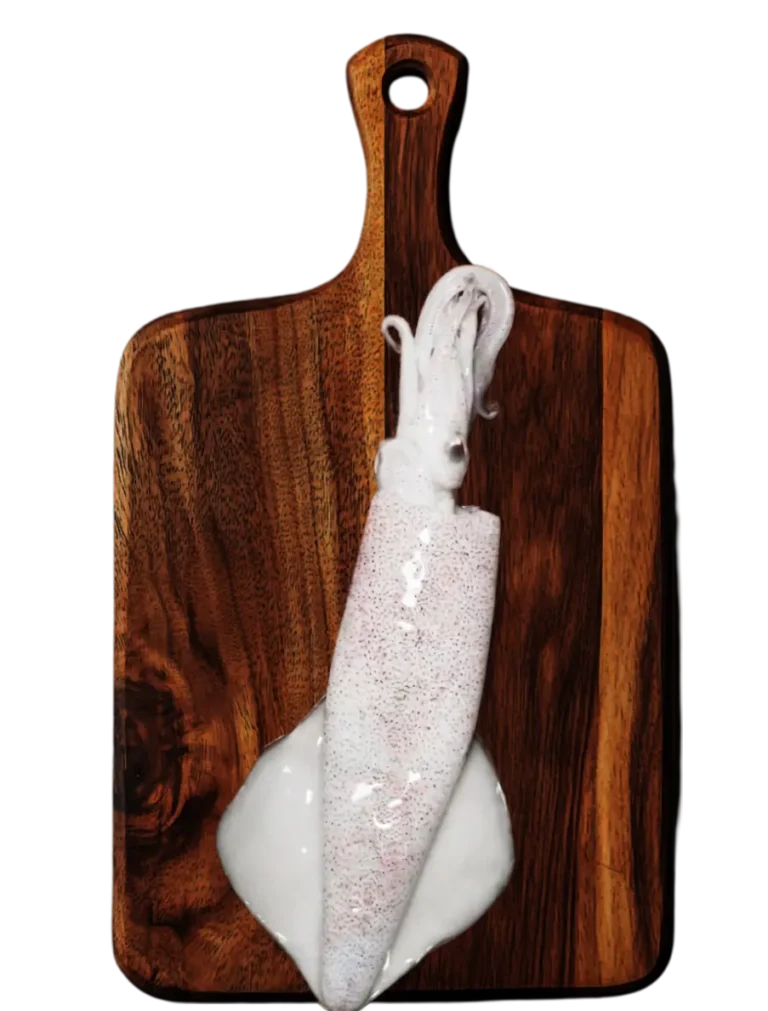 best squid exporter from india