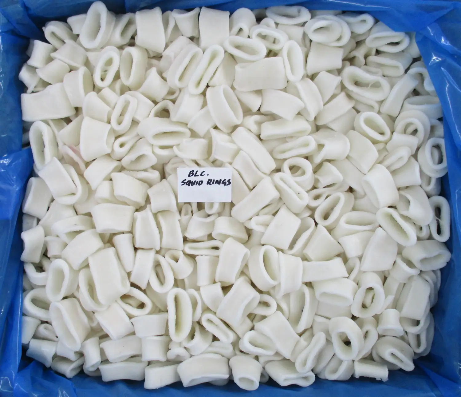 BLANCHED SQUID RINGS IQF