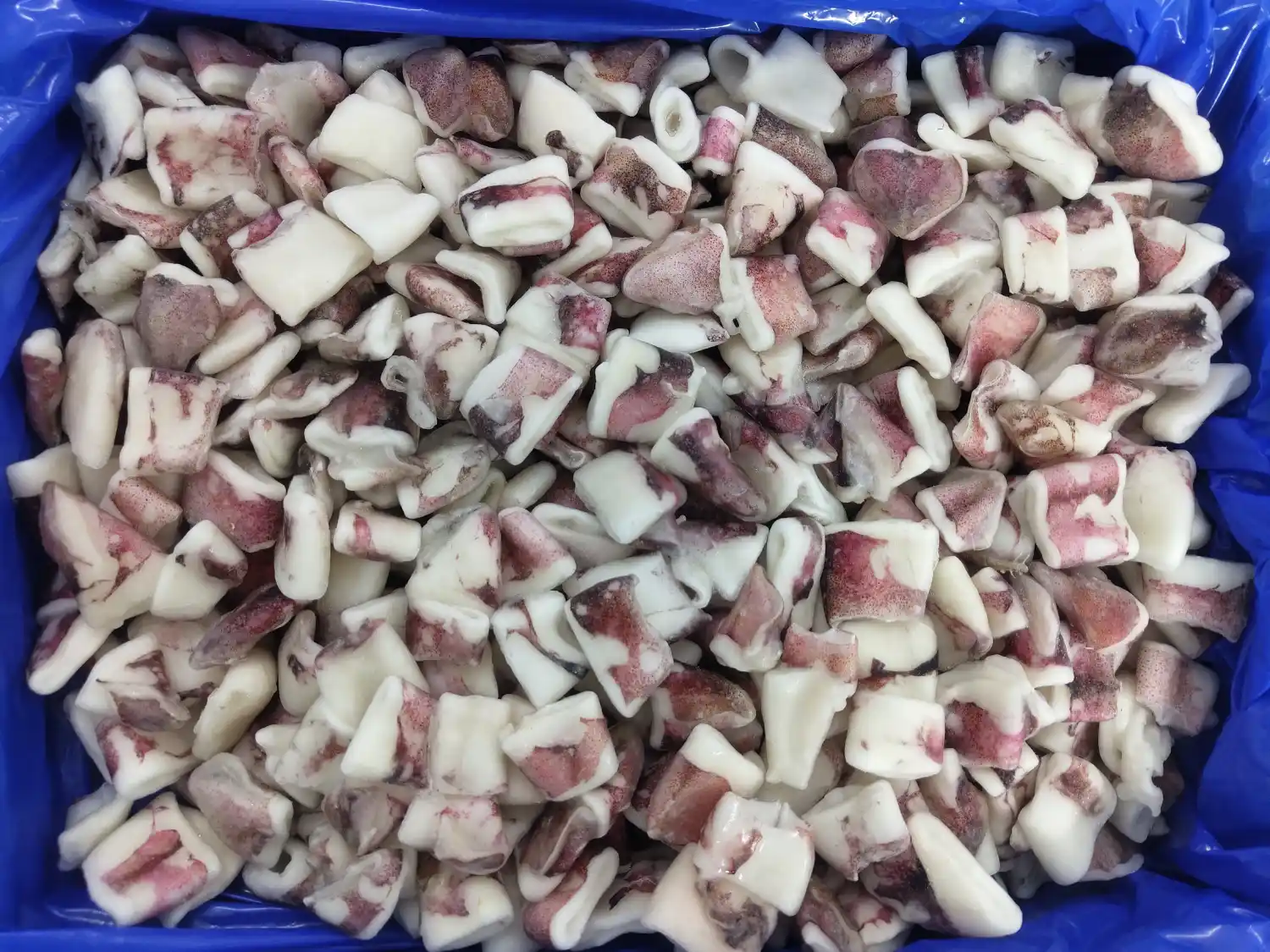 CUT SQUID IQF