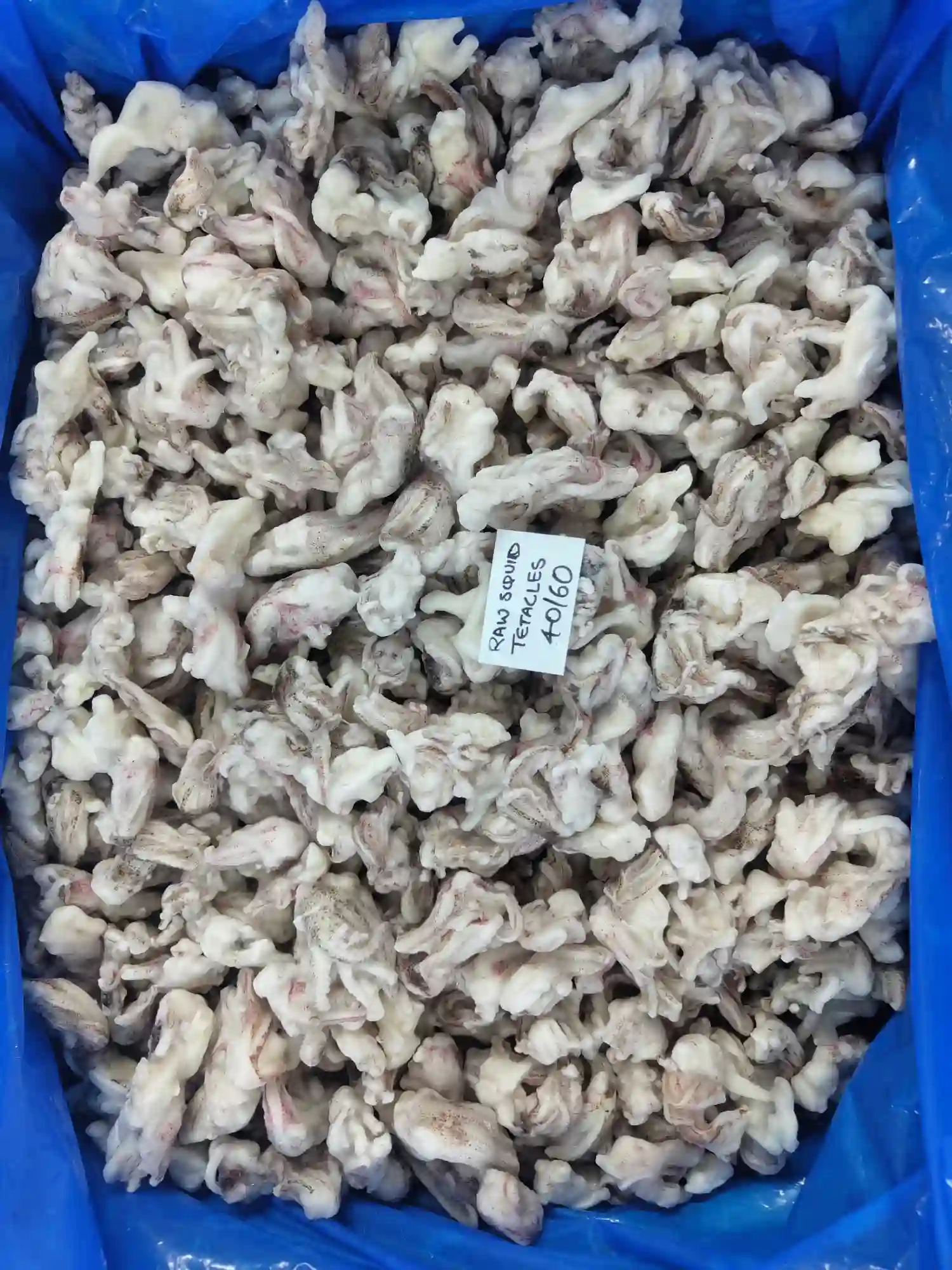 RAW SQUID TENTACLES IQF
