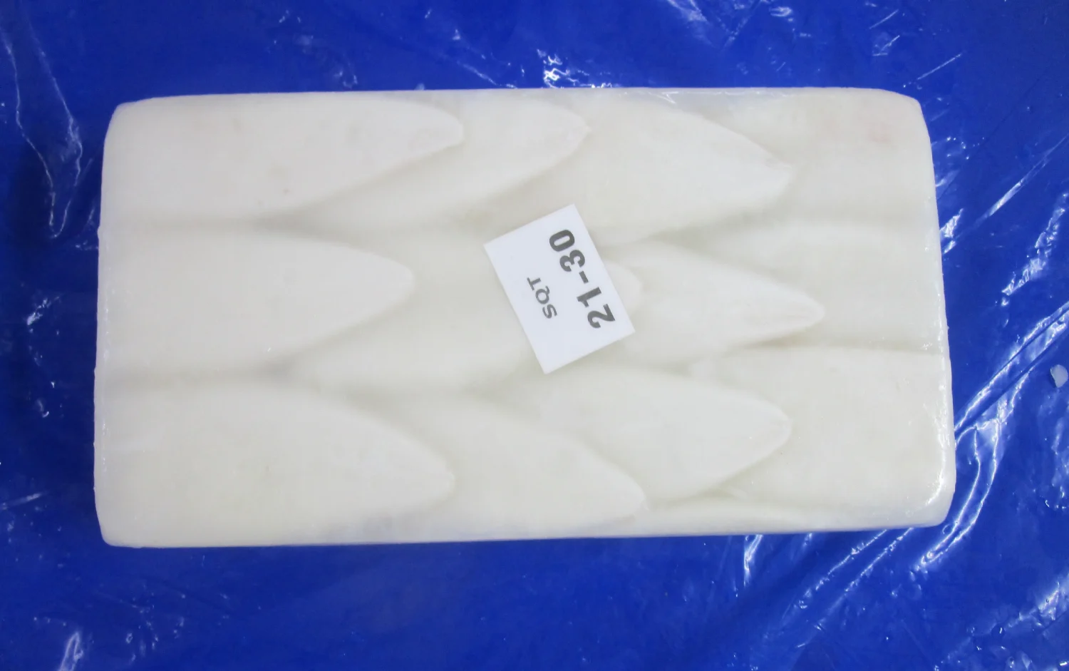 SQUID TUBE BLOCK
