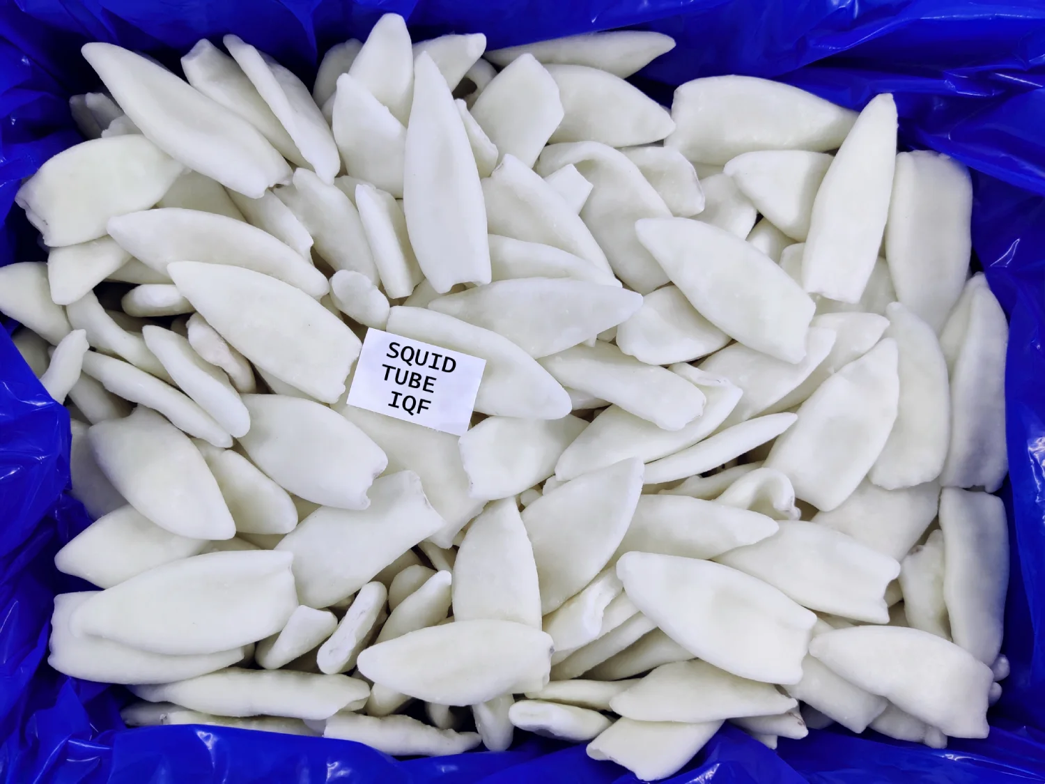 SQUID TUBE IQF
