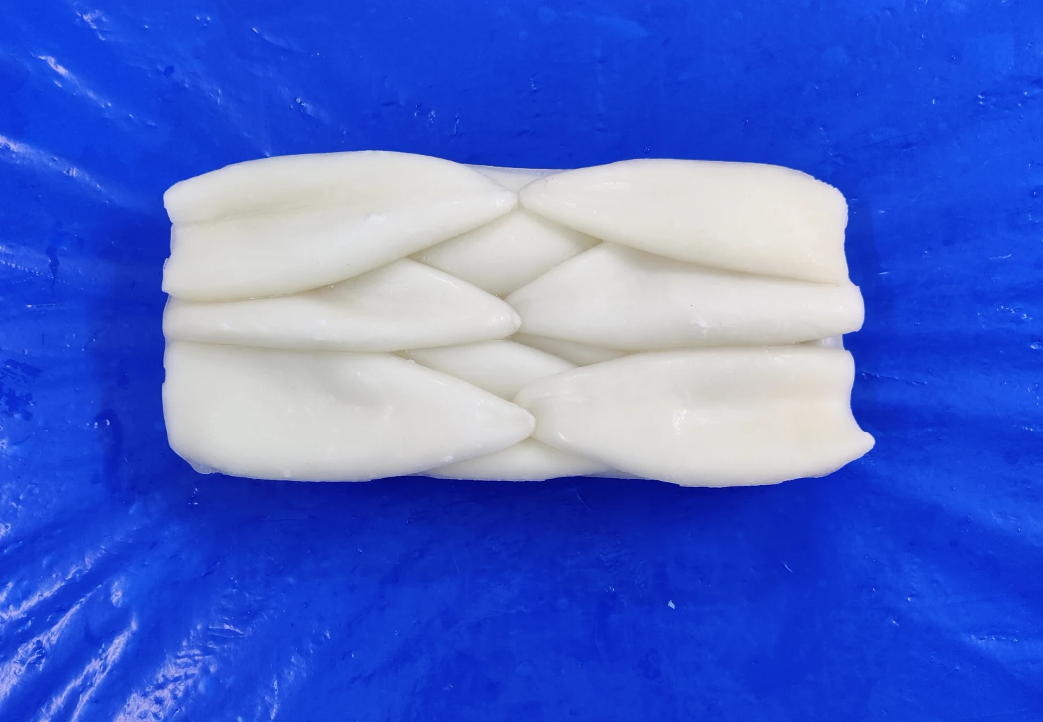 SQUID TUBE ONLY TRAY PACK 
