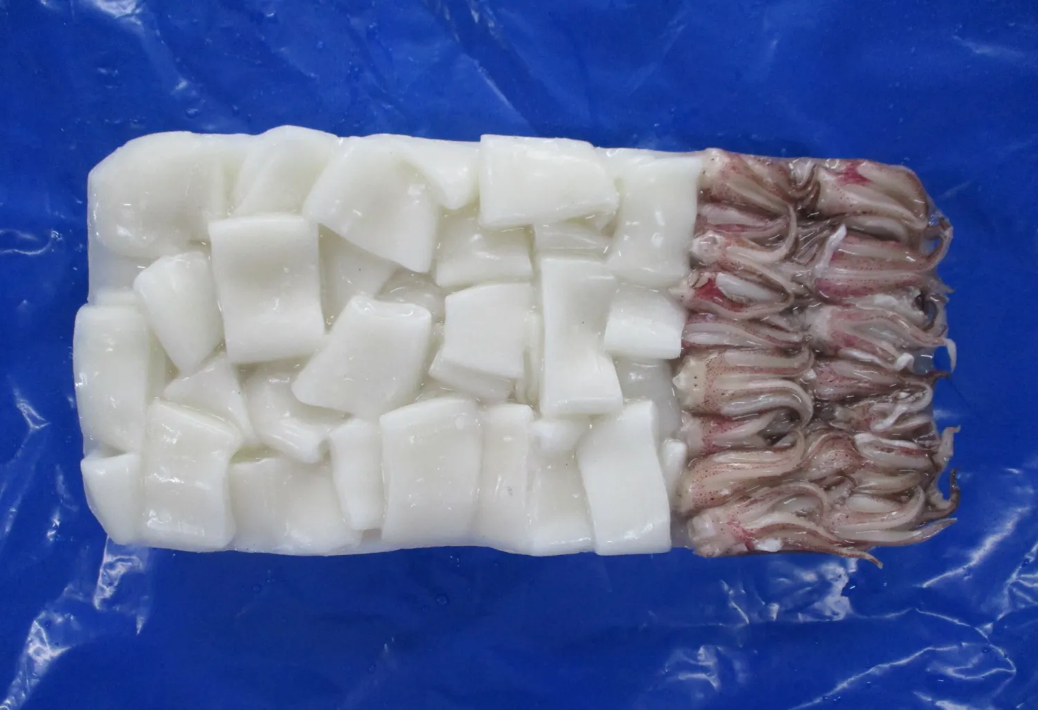 SQUID TUBE AND TENTACLES TRAY PACK 