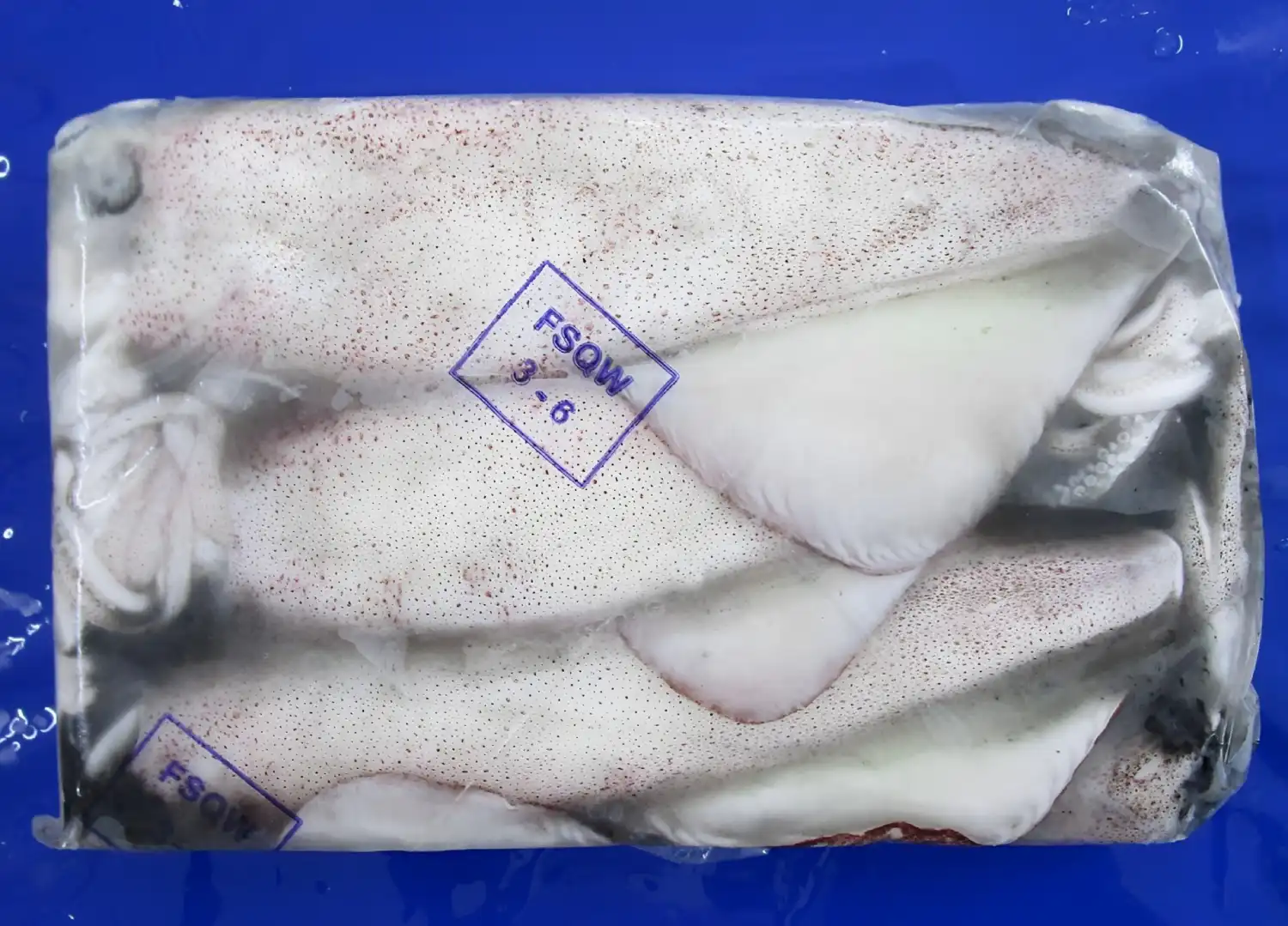SQUID WHOLE BLAST FROZEN