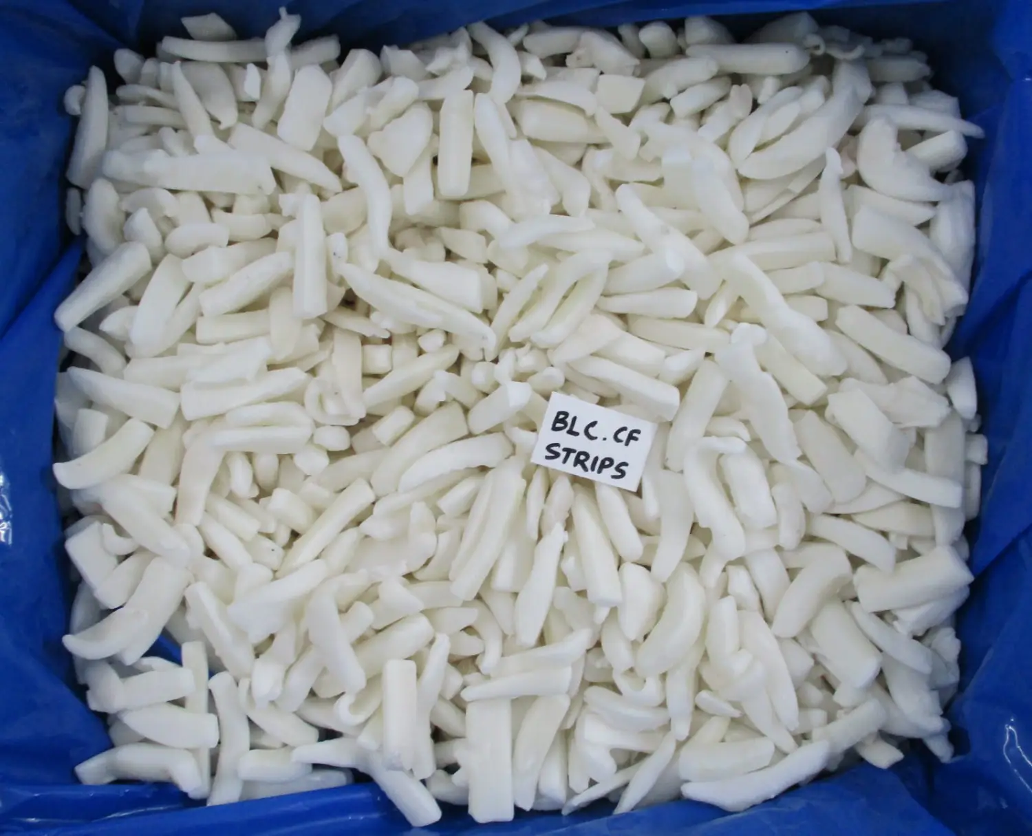 BLANCHED CUTTLEFISH STRIPS IQF