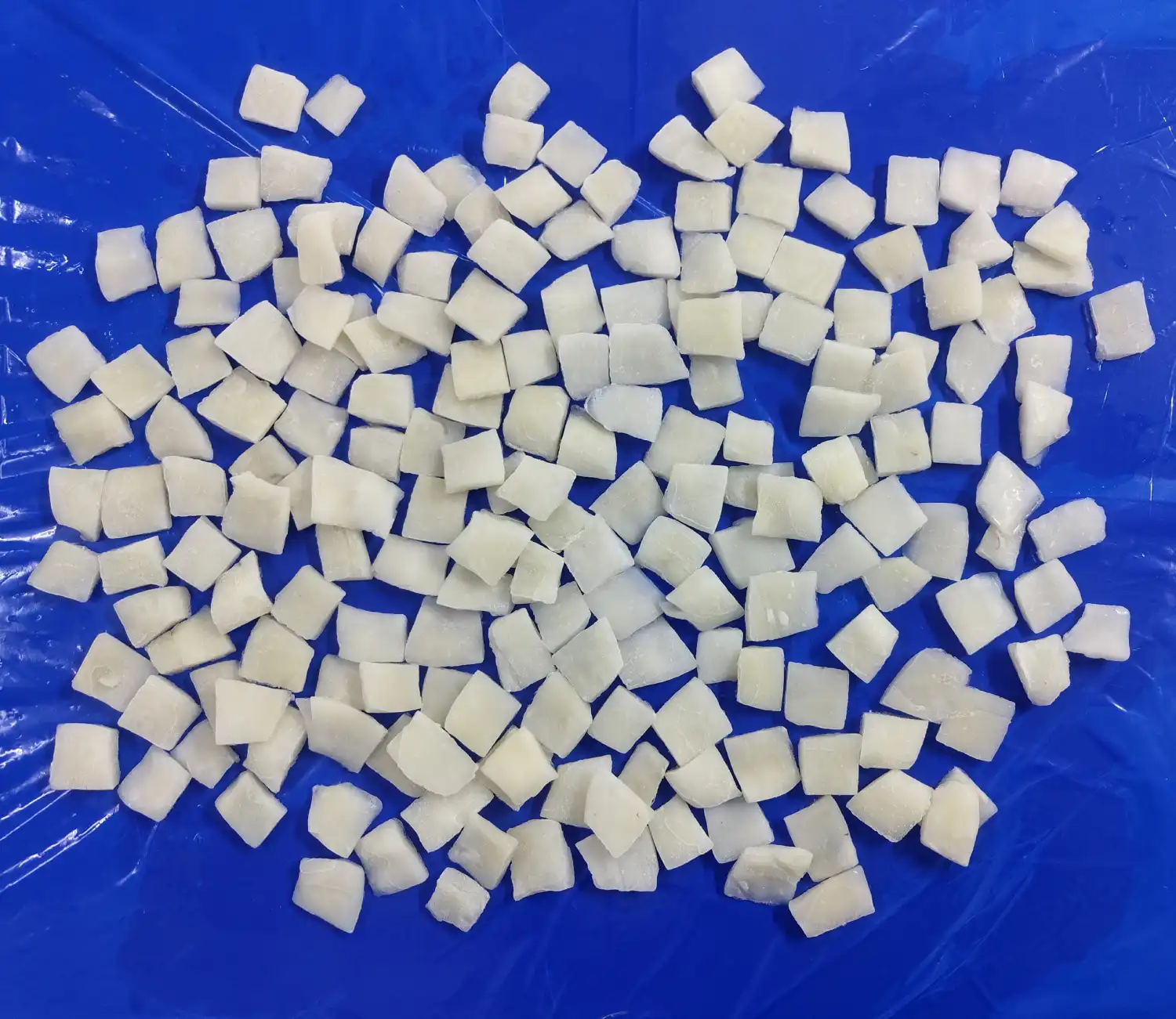 CHOPPED CUTTLEFISH IQF 