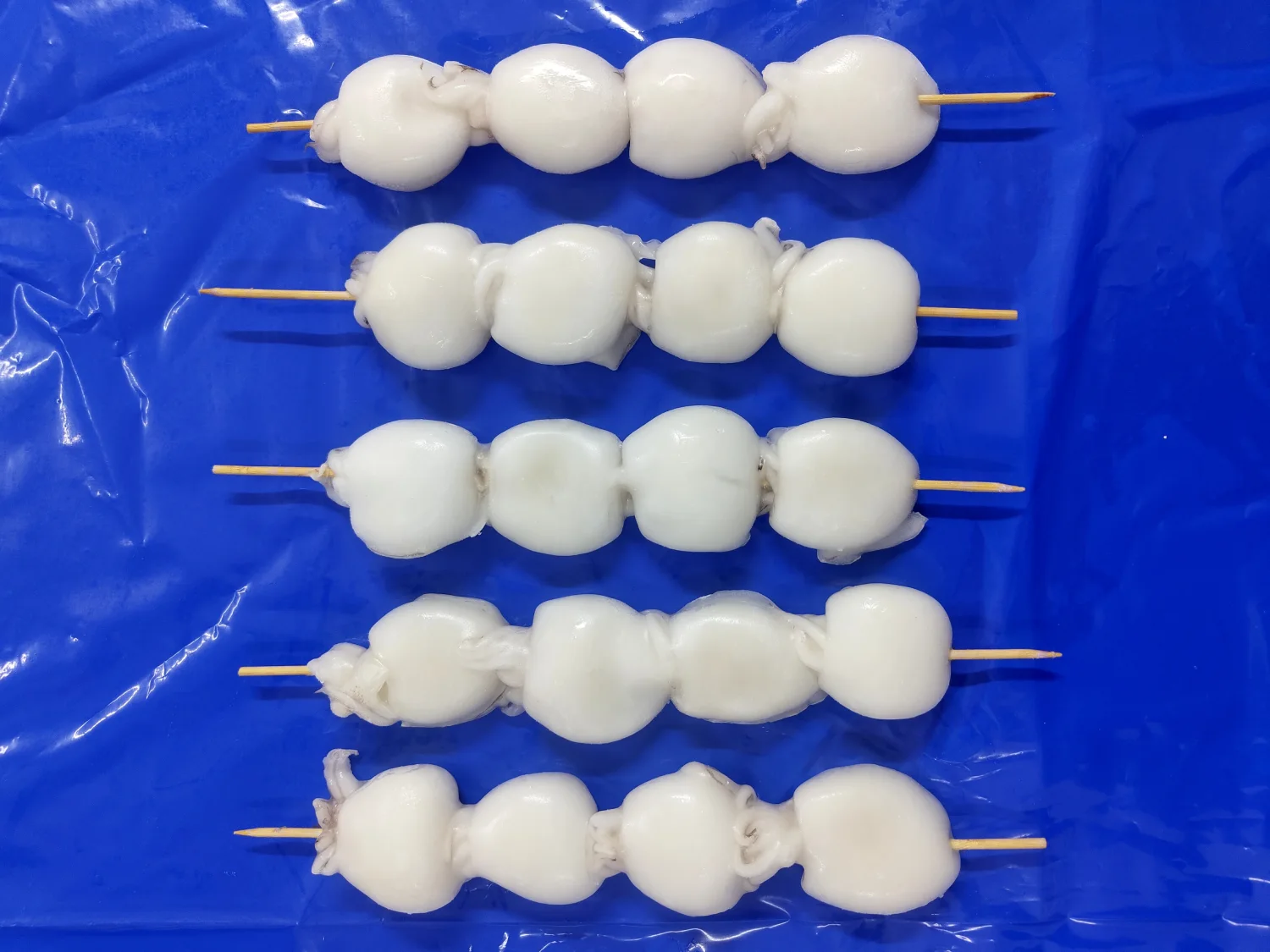 Cuttlefish Skewer