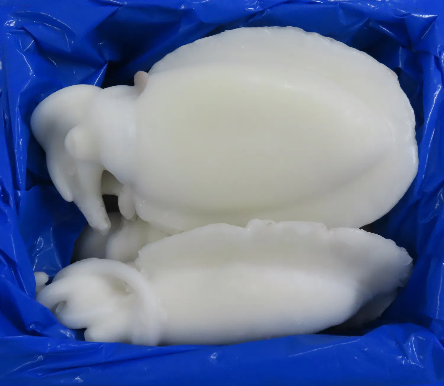 CUTTLEFISH WHOLE CLEANED IQF