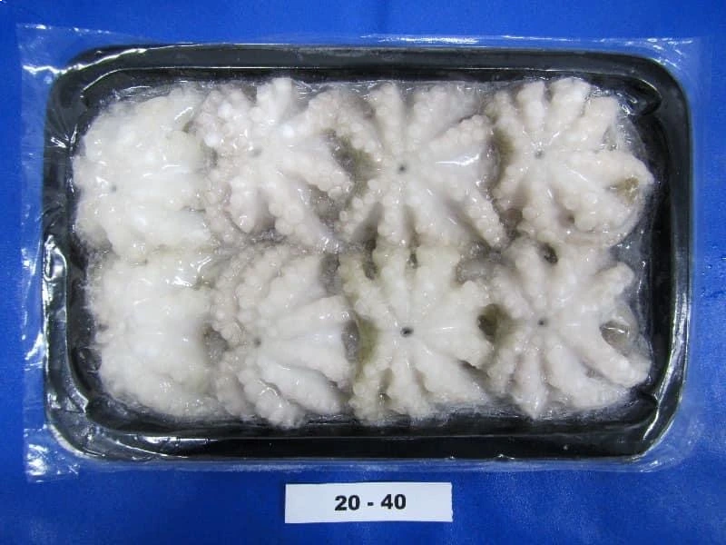 OCTOPUS WHOLE CLEANED TRAY PACK