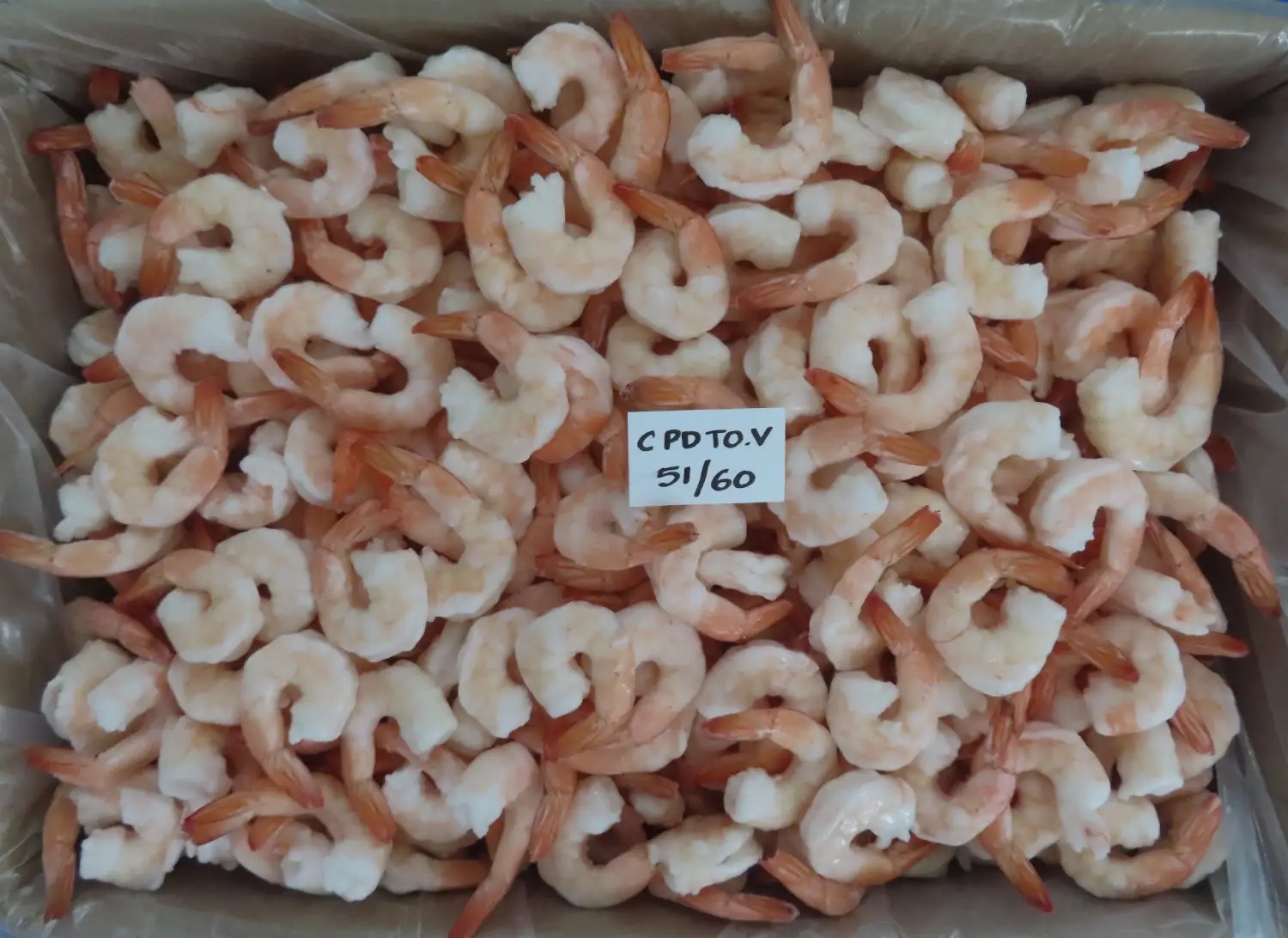 COOKED TAIL ON PD VANNAMEI SHRIMPS IQF