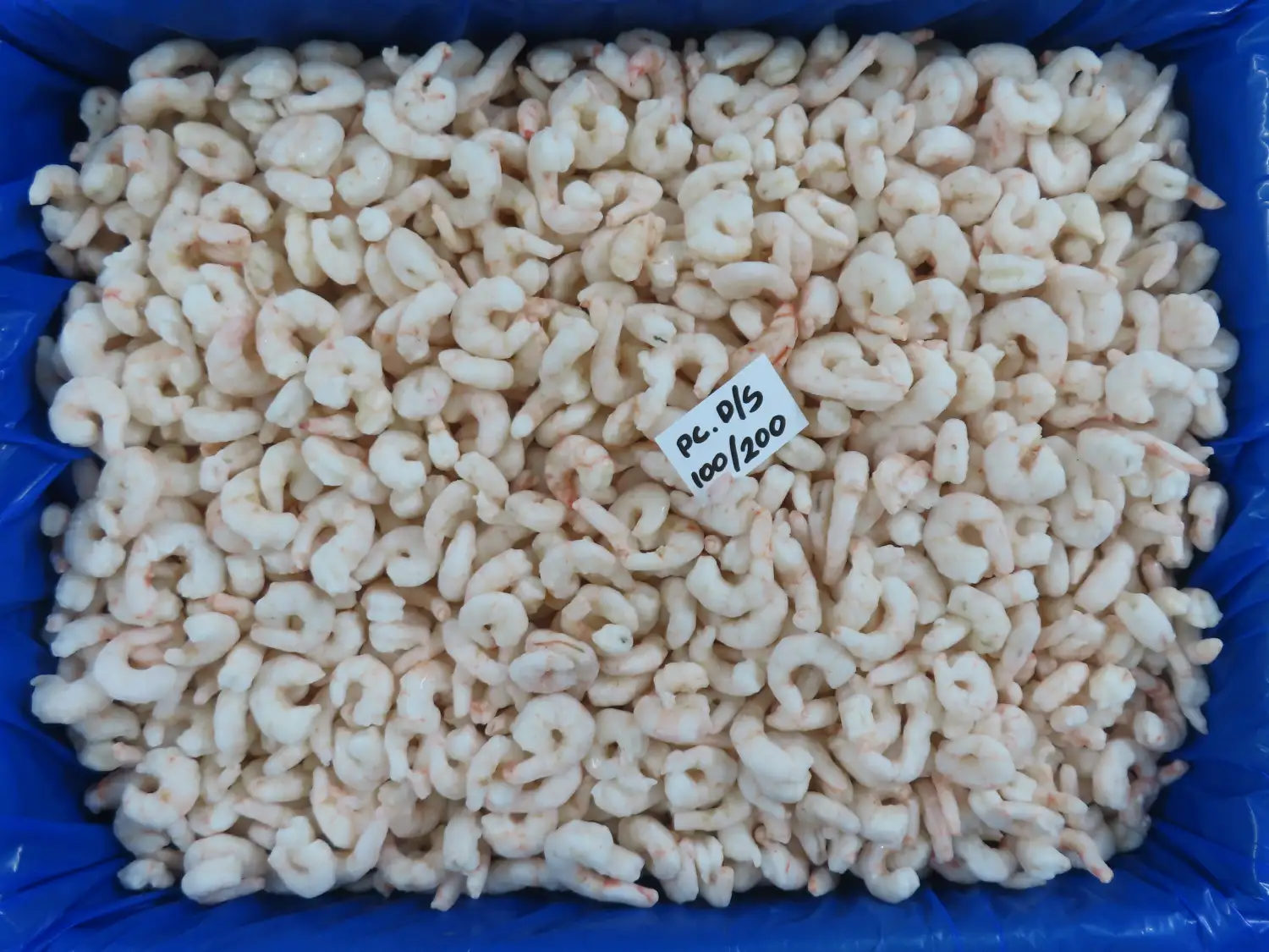 PUD DEEP SEA SHRIMPS IQF