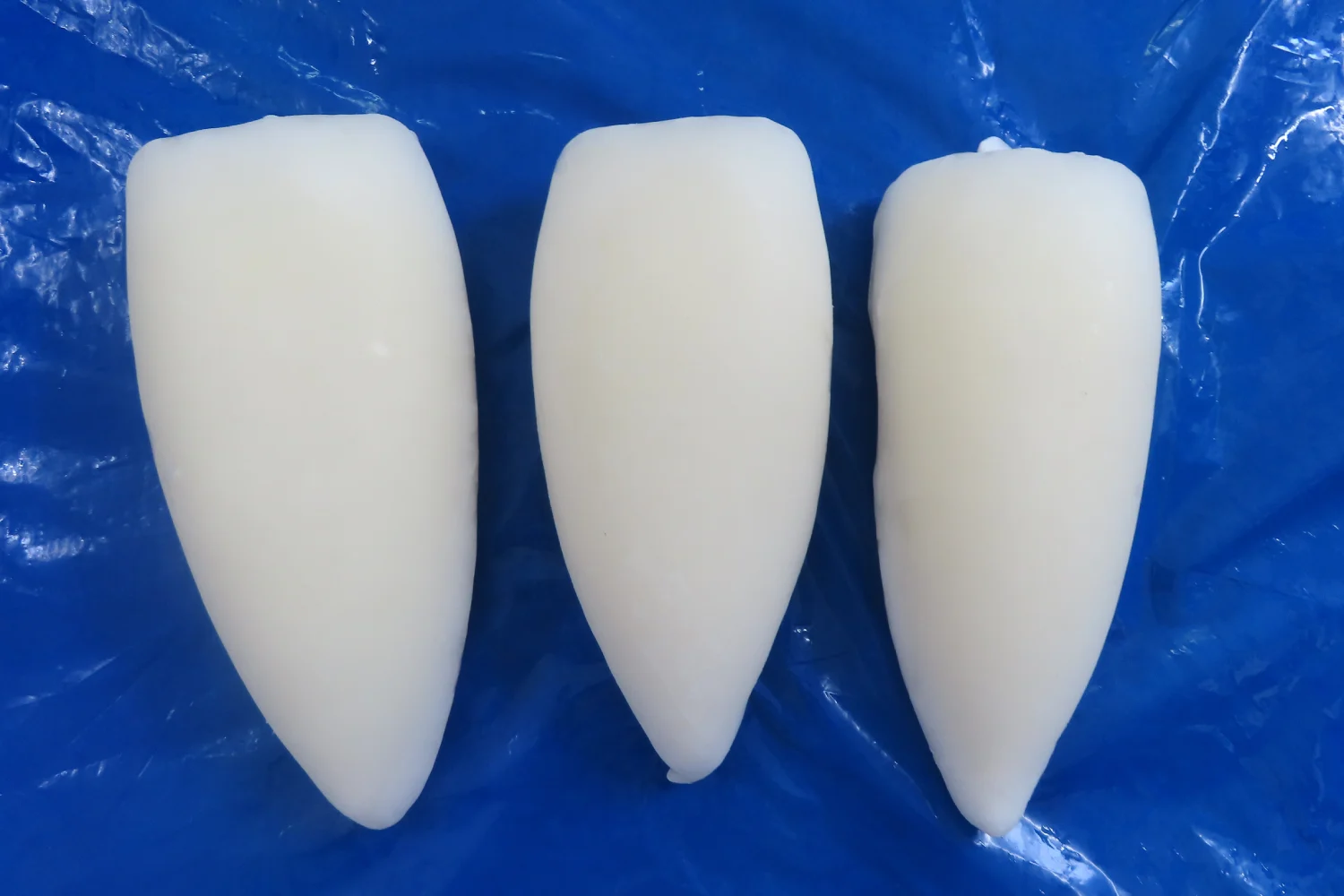 cuttle fish whole cleaned fillet