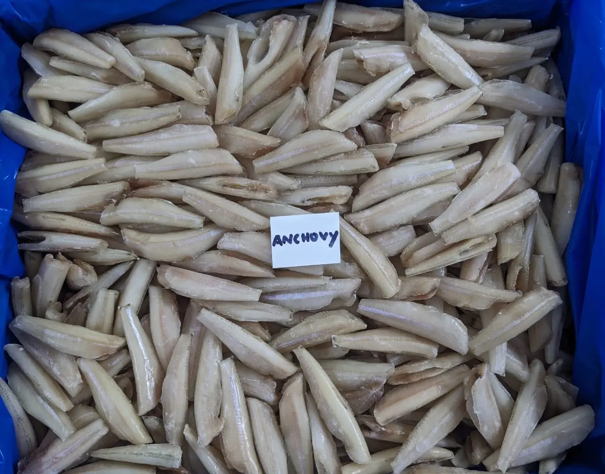 ANCHOVY  PAN READY