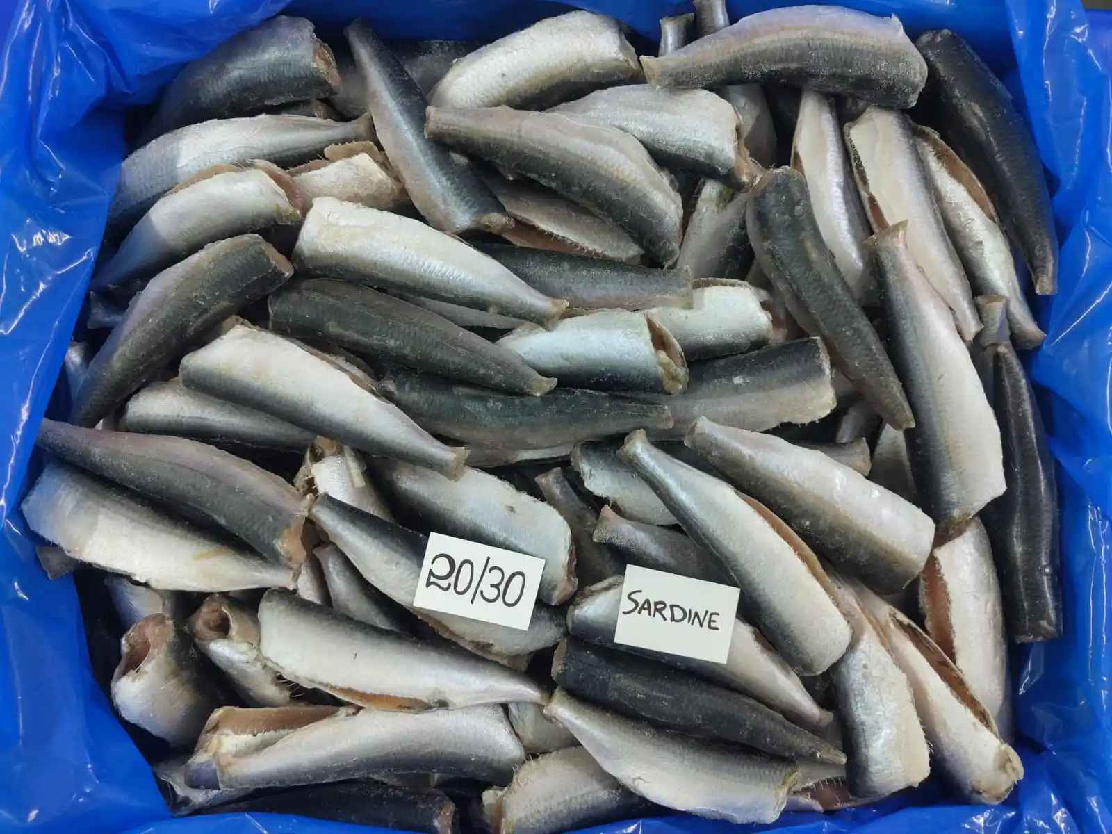 INDIAN OIL SARDINE PAN READY