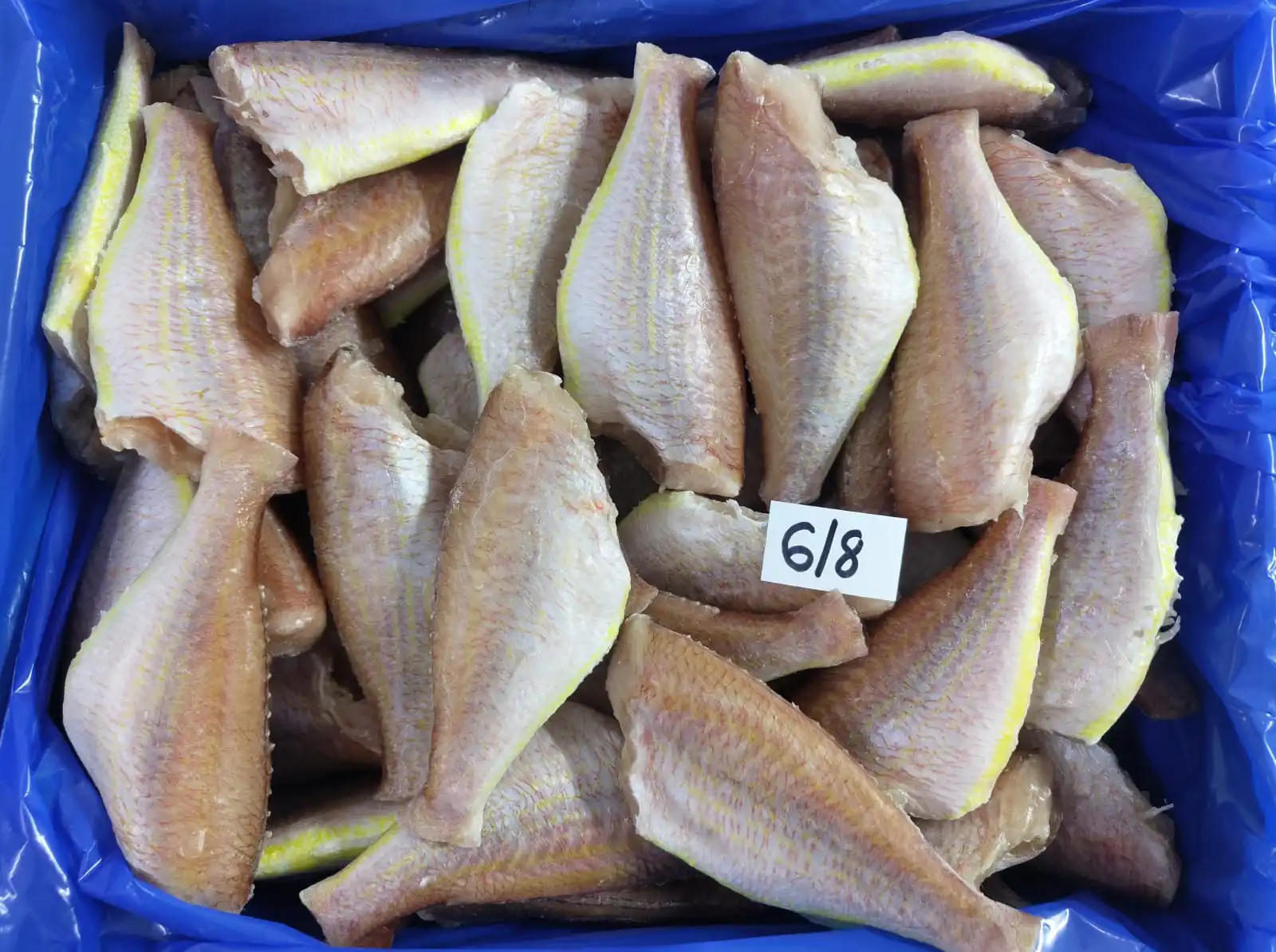 JAPANESE THREADFIN BREAM PAN READY
